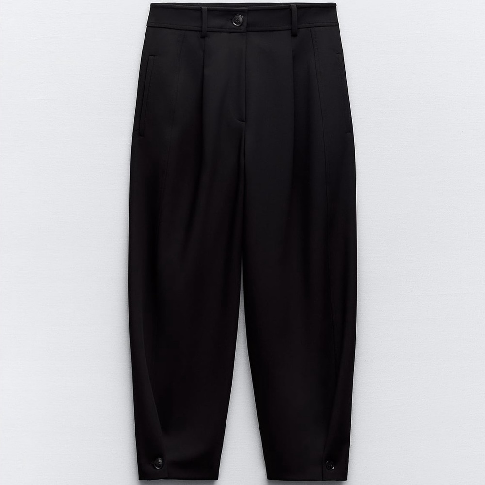 Zara Pleated Tapered Pants